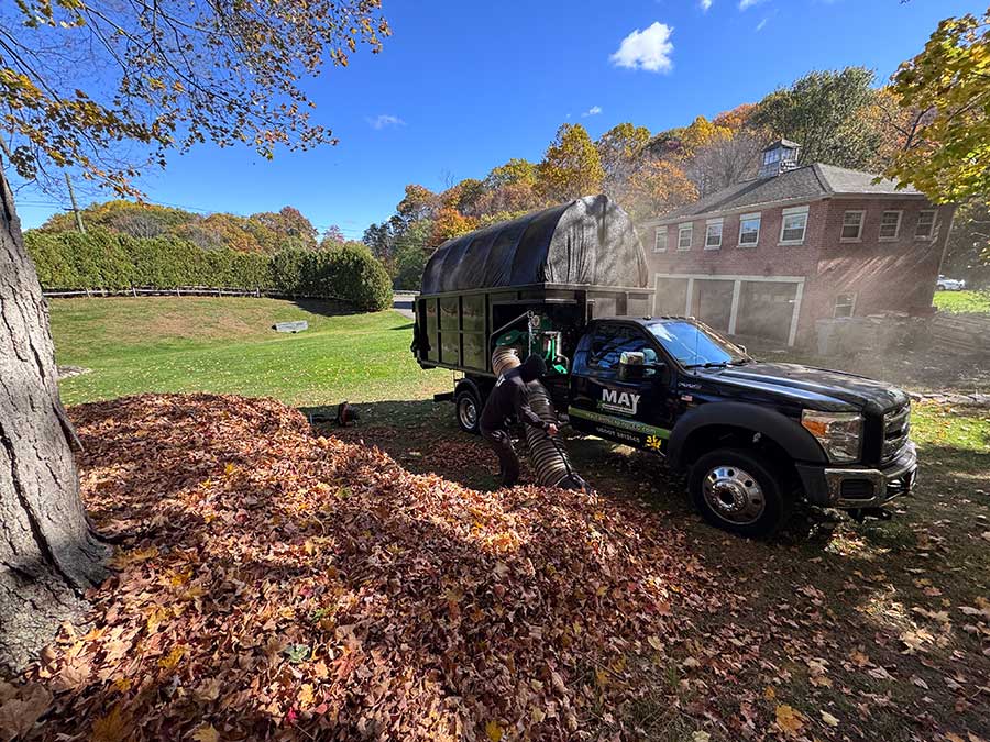fall-leaf-cleanup